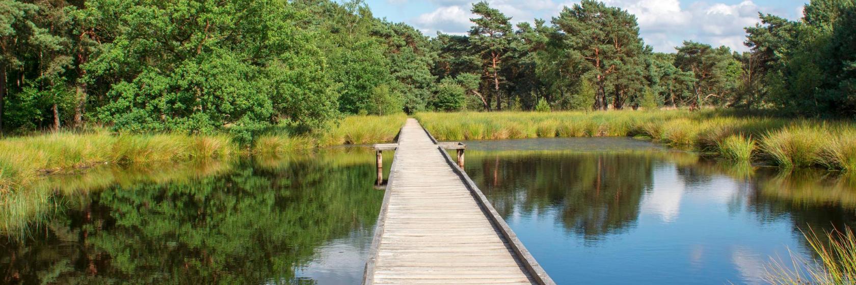 Nationaal Park De Maasduinen